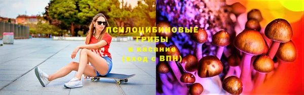 гидра Армянск