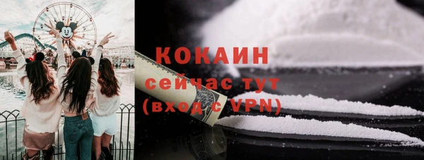 гидра Арсеньев