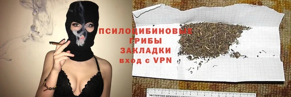 гидра Армянск
