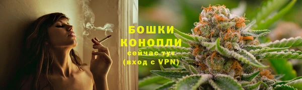 гидра Армянск