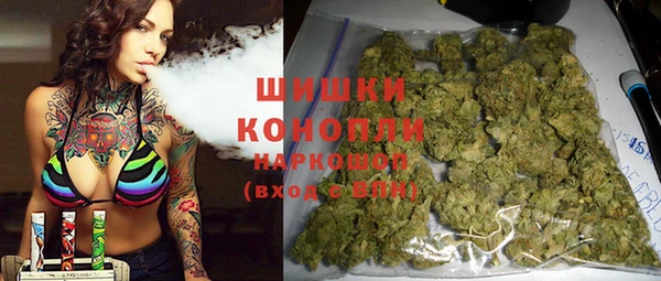 гидра Арсеньев