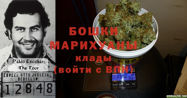 гидра Армянск