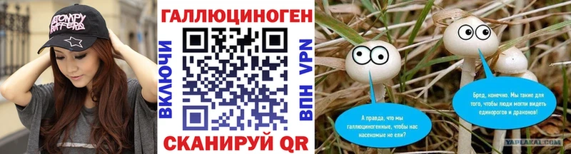 Псилоцибиновые грибы Cubensis  Лихославль 